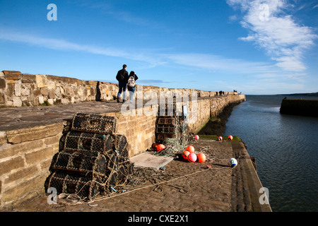 Hummer-Töpfe in St Andrews Hafen, St Andrews, Fife, Schottland Stockfoto