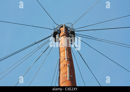 An der Spitze der einen Telegrafenmast nachschlagen Stockfoto