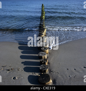 Ostseebad Heiligendamm: Buhnen am Strand bei Sonnenaufgang Stockfoto