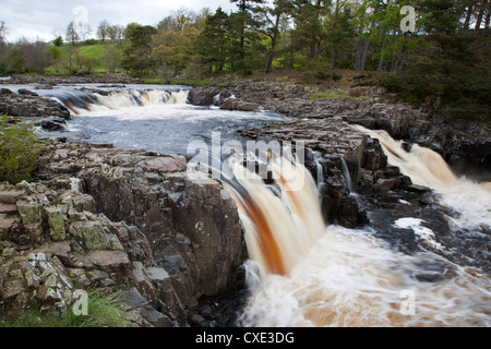 Geringe Kraft im oberen Teesdale, County Durham, England Stockfoto