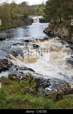 Geringe Kraft im oberen Teesdale, County Durham, England Stockfoto