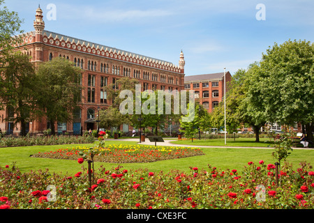 Rosen in voller Blüte im Park Square, Leeds, West Yorkshire, Yorkshire, England, Vereinigtes Königreich, Europa Stockfoto