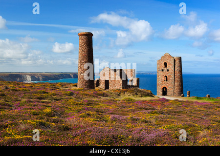 Ruinen der Wheal Coates Tin Mine Maschinenhaus, in der Nähe von St. Agnes, Cornwall, England Stockfoto