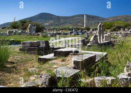 Ireon Ausgrabungsstätte mit Säulen der Tempel der Hera, Ireon, Samos, Ägäische Inseln, Griechenland Stockfoto