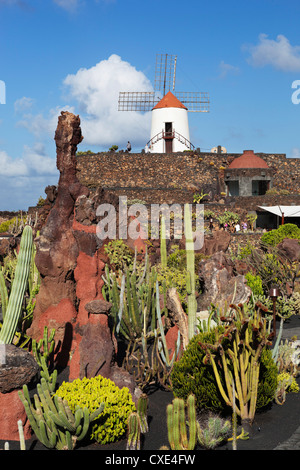 Jardin de Cactus (Kaktusgarten), Guatiza, Lanzarote, Kanarische Inseln, Spanien Stockfoto