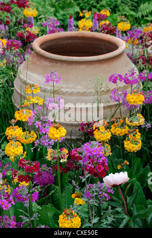 dekorative Terracotta Urn Primula Kandelaber Hybriden pink lila orange Gartengestaltung Pflanzen Schema Kombinationsanlage Stockfoto