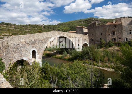 Die alte Brücke von Lagrasse und Flusses Orbieu (Aude - Frankreich). Le Pont Vieux de Lagrasse et la Rivière Orbieu (Aude). Stockfoto