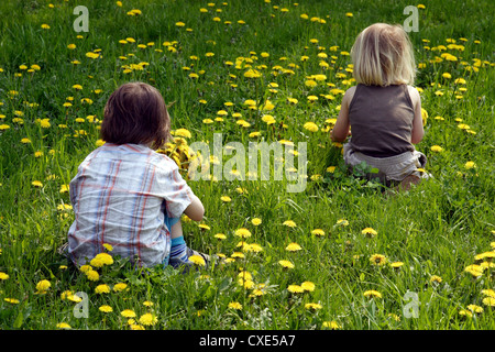 Leipzig, Kinder auf einer Wiese Blumen pflücken Stockfoto