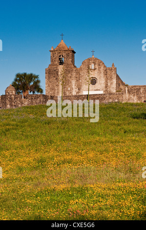 Frühling Wildblumen Wiese unterhalb der Muttergottes von Loreto-Kapelle am Presidio La Bahia, in der Nähe von Goliad, Texas, USA Stockfoto