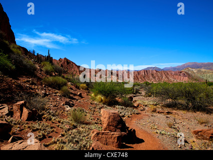 Roten Felsformationen in den Canon Del Inca, Tupiza Chichas Range, Anden, südwestlichen Bolivien, Südamerika Stockfoto