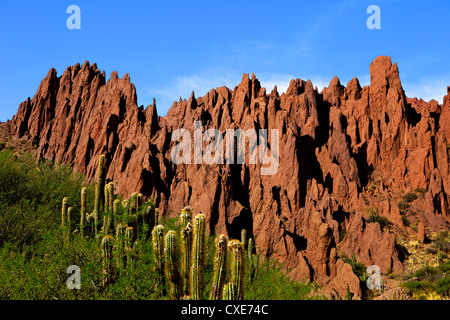 Roten Felsformationen in den Canon Del Inca, Tupiza Chichas Range, Anden, südwestlichen Bolivien, Südamerika Stockfoto