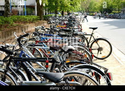 Braunschweig, Parkposition Fahrräder auf dem Campus der technischen Universität Carolo-Wilhelmina in Braunschweig Stockfoto