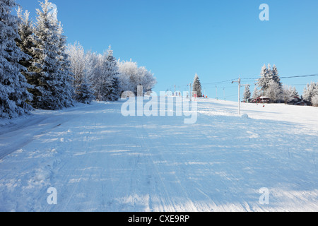 Verschneiten Winterwald und gerändelten breite Wanderwege. Stockfoto