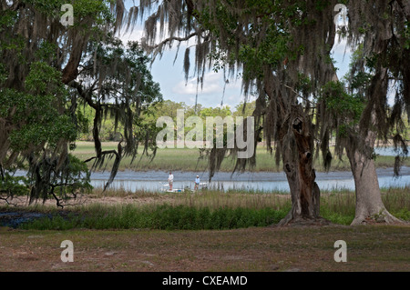 Low-Land Feuchtgebiete bei Boone Hall Plantation in Mt. Pleasant, SC, einem Vorort von Charleston. Stockfoto