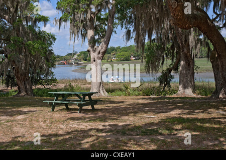 Low-Land Feuchtgebiete bei Boone Hall Plantation in Mt. Pleasant, SC, einem Vorort von Charleston. Stockfoto