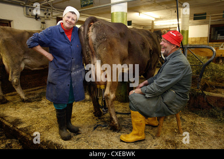 Tirol, Landwirt und seine Frau mit Freude an der Arbeit im Kuhstall Stockfoto