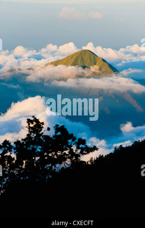 Berg-Gipfel steigen hoch über den Wolken vom Mount Rinjani Vulkan, Lombok, Indonesien, Südostasien, Asien Stockfoto