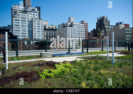 Das grüne Dach auf eine Schule im Stadtteil Greenwich Village in New York Stockfoto