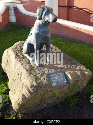 Statue von Blindenhund in New Brighton, die Foundation of The Guide Dogs für den blinden Verein im Jahre 1931 zu gedenken Stockfoto