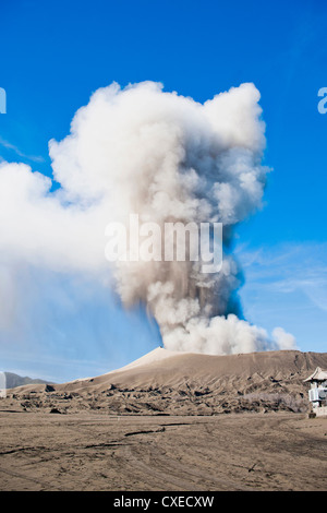 Mount Bromo Vulkanausbruch senden bis eine Asche-Wolke, Ost-Java, Indonesien, Südostasien, Asien Stockfoto