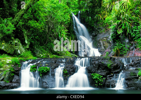 Erstaunliche Elebana Falls im Lamington National Park. Stockfoto