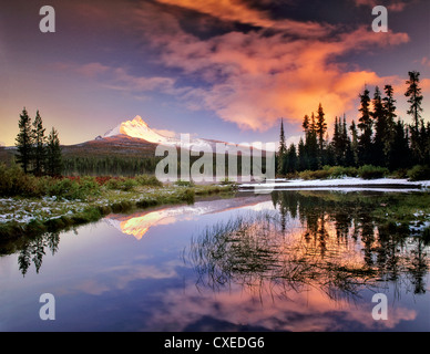 Mount Washington Reflexion in Big Lake. Oregon. Stockfoto