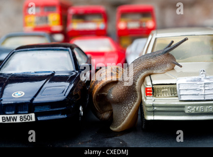 Reisen mit einem Schnecken Tempo Stockfoto