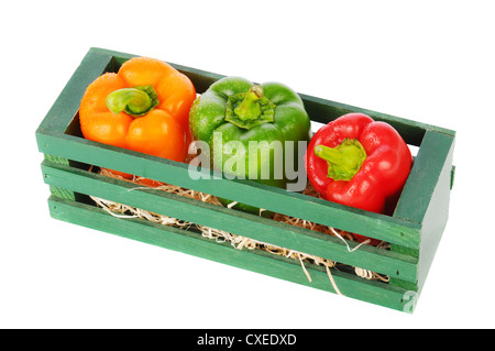 Eine Holzkiste mit drei verschiedene Paprika. Querformat vorderen hohen Winkel. Stockfoto