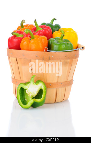 Ein Korb mit frisch gepflückten Paprika. Hochformat über einen weißen Hintergrund mit Reflexion. Stockfoto