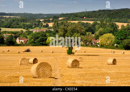 Chiltern Hills - Buckinghamshire - Feld - goldene Stoppeln und Strohballen Herbst Sonnenlicht - Little Missenden Dorf geerntet Stockfoto