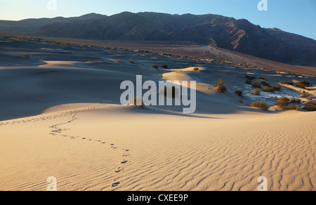 Sanddünen und Berge Stockfoto