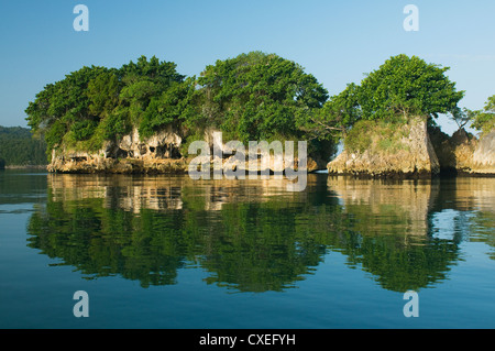 Kalksteininseln oder "Mogotes", Nationalpark Los Haitises, Dominikanische Republik Stockfoto