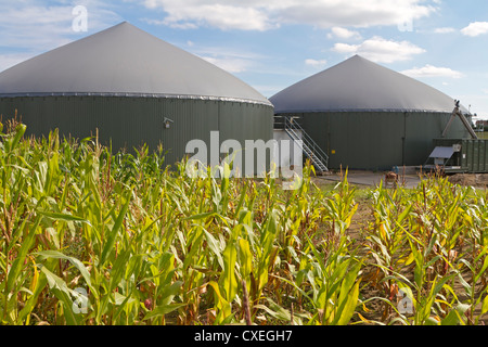 Biogasanlage mit Kornfeld Stockfoto