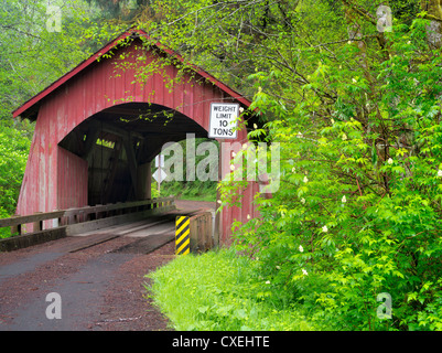 North Fork des Ruhestand Covered Bridge. Oregon Stockfoto