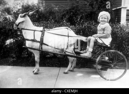 Kleines Mädchen reiten in Ziege Cart, ca. 1926 Stockfoto