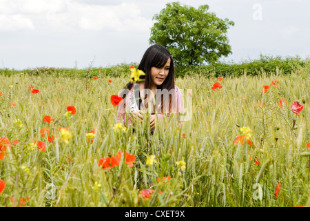 Hübsche dunkelhaarige Thai Mädchen stehen in einem englischen Weizenfeld umgeben von Mohn Stockfoto