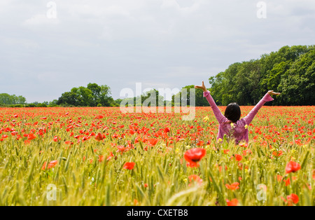 Frau hält ihre Arme über den Kopf in ein Weizenfeld, umgeben von Mohn Stockfoto