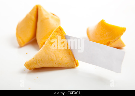 Chinesische Glückskekse auf weißem Hintergrund Stockfoto