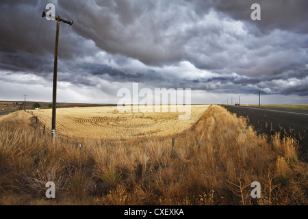 Boden-Landstraße auf Felder von Montana Stockfoto