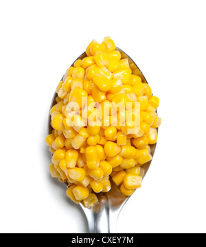 Gelber Mais auf einem Löffel auf weißem Hintergrund Stockfoto