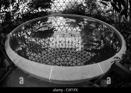 Mt Coot-Tha Botanic Garden - geodätische Kuppel reflektiert in einem Teich Stockfoto