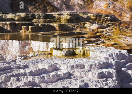 Hot Springs im Yellowstone-Nationalpark Stockfoto