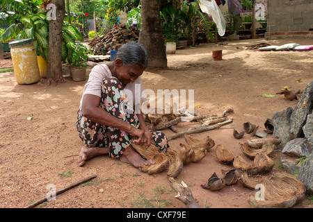 Alte Frau, die die Faser aus einer Kokosnussschale, Waikkal Dorf, Sri Lanka Stockfoto