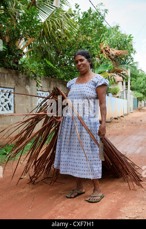 Ältere Frau aus Waikkal Dorf, verzweigt sich Sri Lanka schneiden Palme mit einer machete Stockfoto