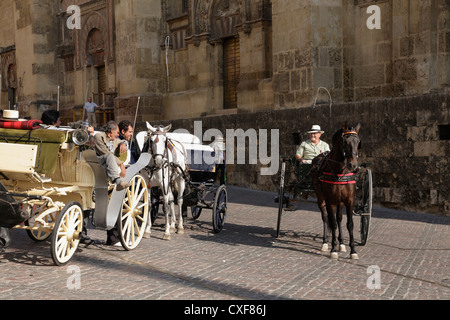 Mann Pferd gezeichneten Buggy vergeht einen Taxistand Tourist Wagen die Kathedrale Cordoba Andalusien Spanien Stockfoto