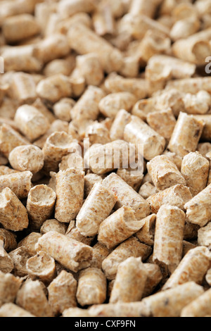 Alternative Kraftstoffe. Holzpellets aus industriellen Holzabfällen hergestellt. Stockfoto