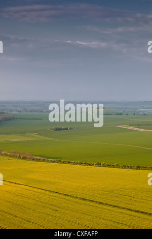 Morgenlicht über nebligen Vale of Pewsey von Knapp Hill. Stockfoto