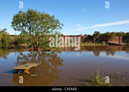 Einem überfluteten ummauerten Garten im Herbst mit getauchten Picknickbank und Bäume spiegeln sich in dem Wasser unter strahlend blauem Himmel Stockfoto