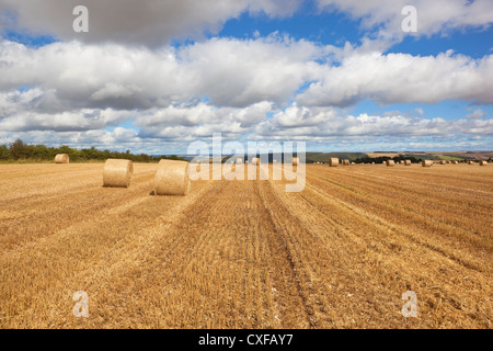 Stroh Rundballen in einem Stoppelfeld bei bewölktem Himmel auf die Yorkshire Wolds England Stockfoto