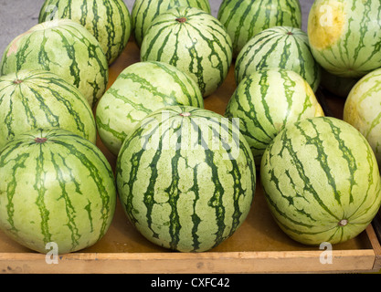 Große Wassermelone vermarkten Anzeige in einer Zeile köstliche Sommerfrüchte Stockfoto